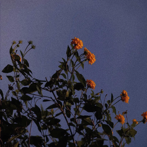 健身教练巨大粗爽Gay
